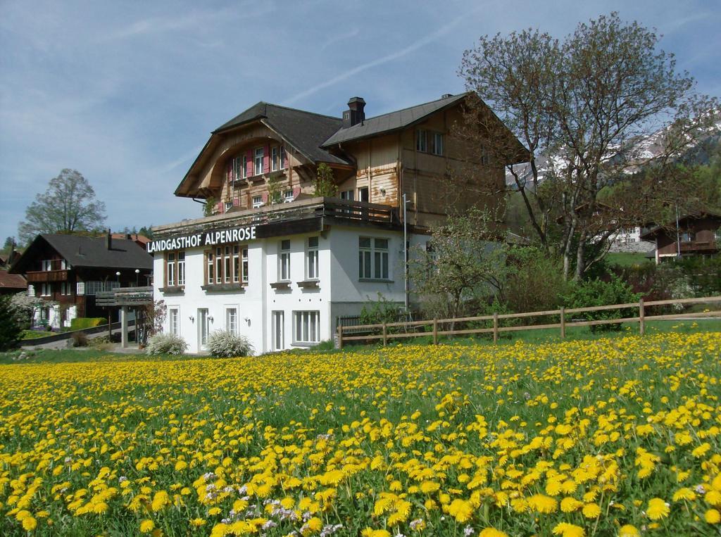 Hotel Alpenrose Beim Ballenberg Бриенц Экстерьер фото